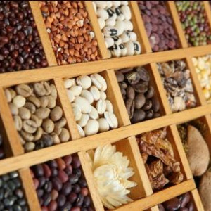 前100多酚。它们是什么?为什么它们很重要?